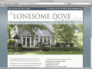 www.lonesomedovebnb.com home page